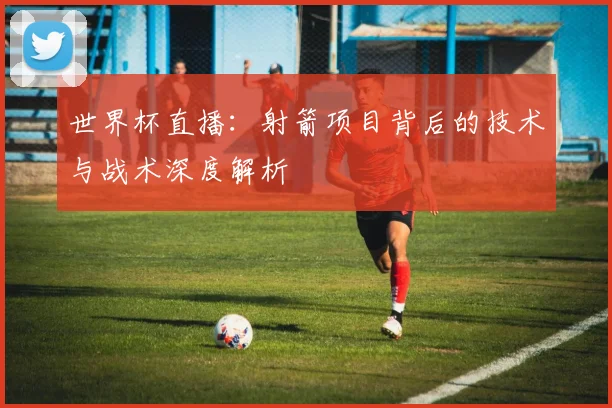 世界杯直播：射箭项目背后的技术与战术深度解析