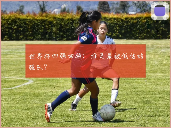 世界杯四强回顾：谁是最被低估的强队？