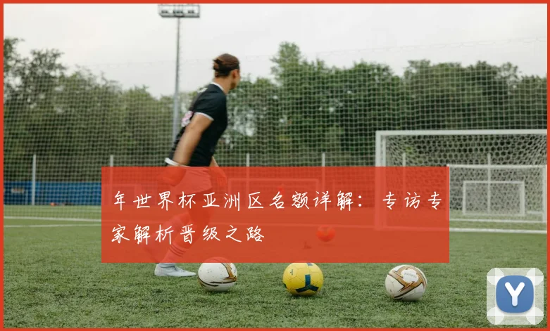 年世界杯亚洲区名额详解：专访专家解析晋级之路