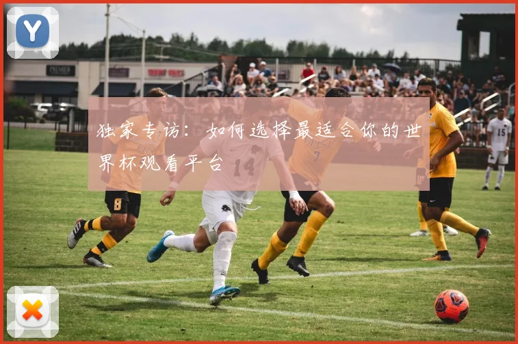 独家专访：如何选择最适合你的世界杯观看平台