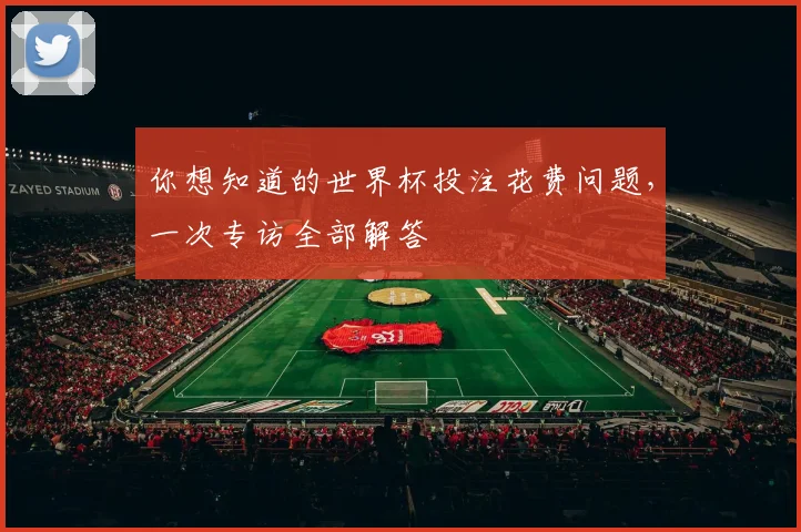 你想知道的世界杯投注花费问题,一次专访全部解答