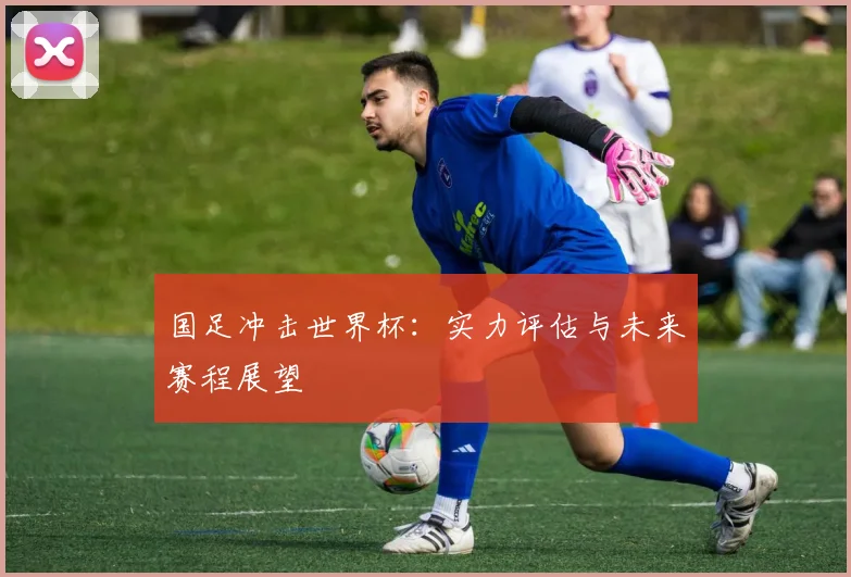 国足冲击世界杯：实力评估与未来赛程展望
