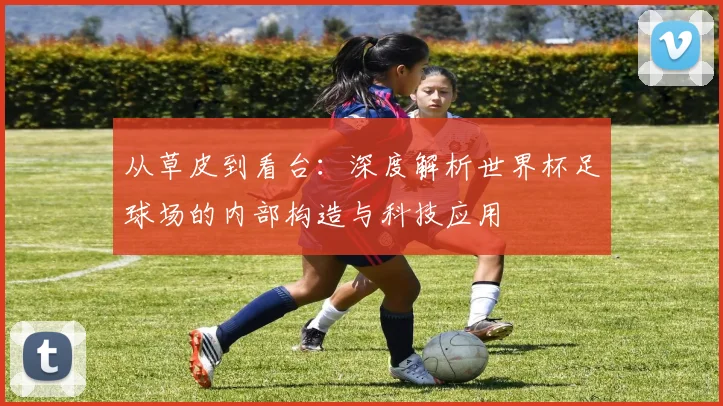 从草皮到看台：深度解析世界杯足球场的内部构造与科技应用