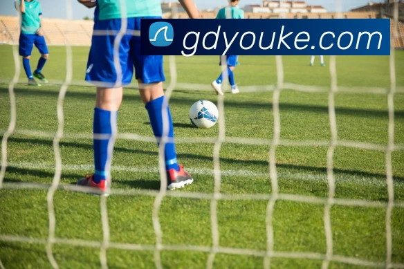 mksports登录入口平台生态图